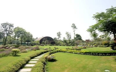 Top Benefits of Investing in the Premium Project-Greenwood Farms