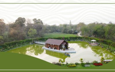 Sustainable living tips for a home close to nature with benefits