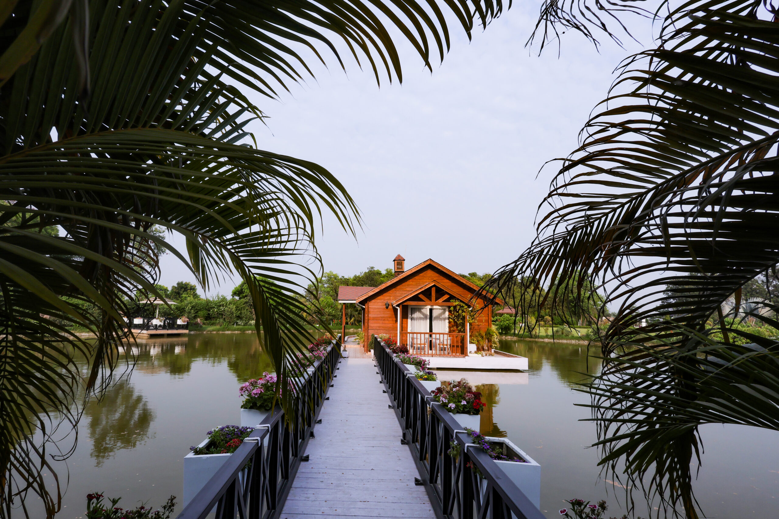 Wellness Real Estate: The Future of Healthy Living in India