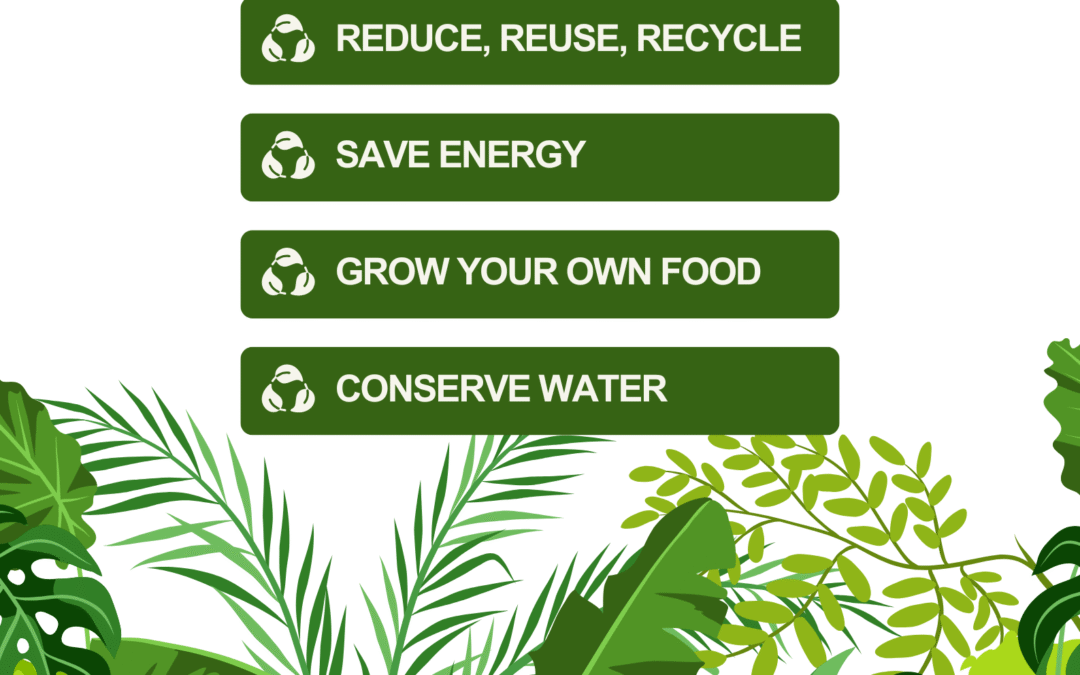 How Heritage Green Group Is Redefining Sustainable Luxury Living