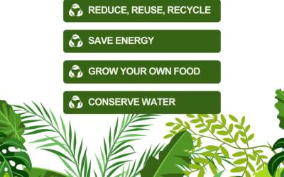 How Heritage Green Group Is Redefining Sustainable Luxury Living