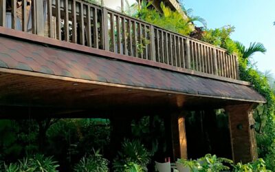 How do you see sustainable design transforming urban life in the coming decade